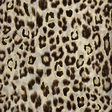Leopard Print Scarf with Golden Lines